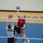 article-featured-19